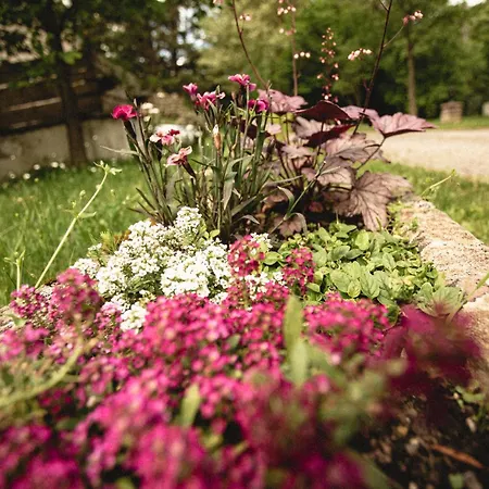 Lesny Dwór W Górach Sowich Casa de hóspedes