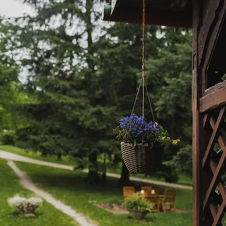 Lesny Dwór W Górach Sowich