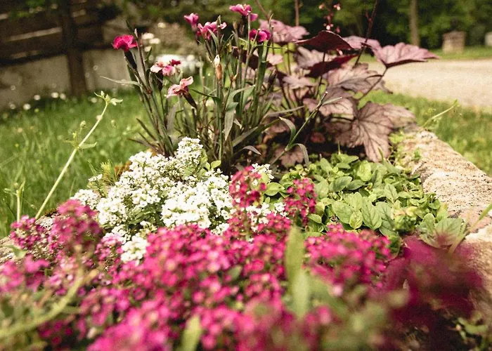 Lesny Dwor W Gorach Sowich Guest house