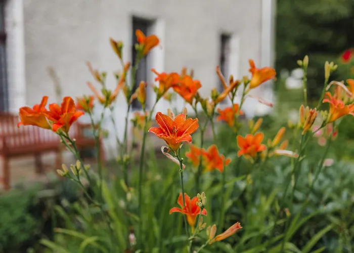 Lesny Dwor W Gorach Sowich Guest house Woliborz