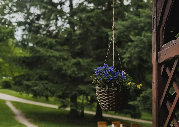 Lesny Dwor W Gorach Sowich