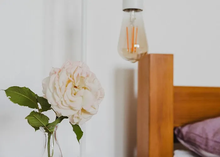 Guest house Lesny Dwor W Gorach Sowich Woliborz